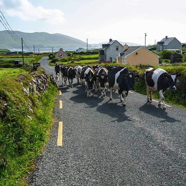 Ballydonegan