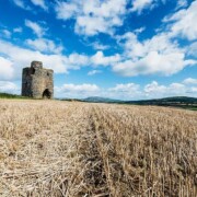 Burt Castle