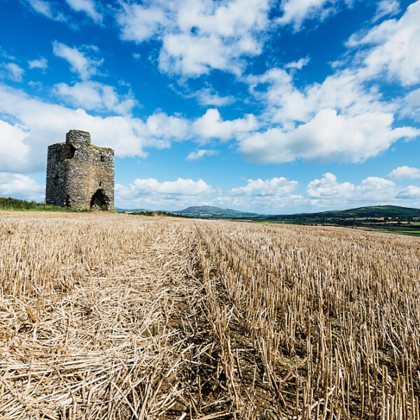 Burt Castle
