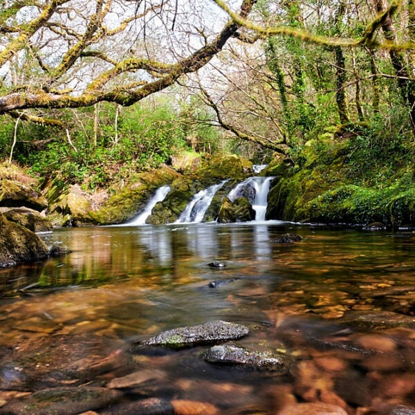 Esknamucky Waterfall - Glengarriff Nature Reserve