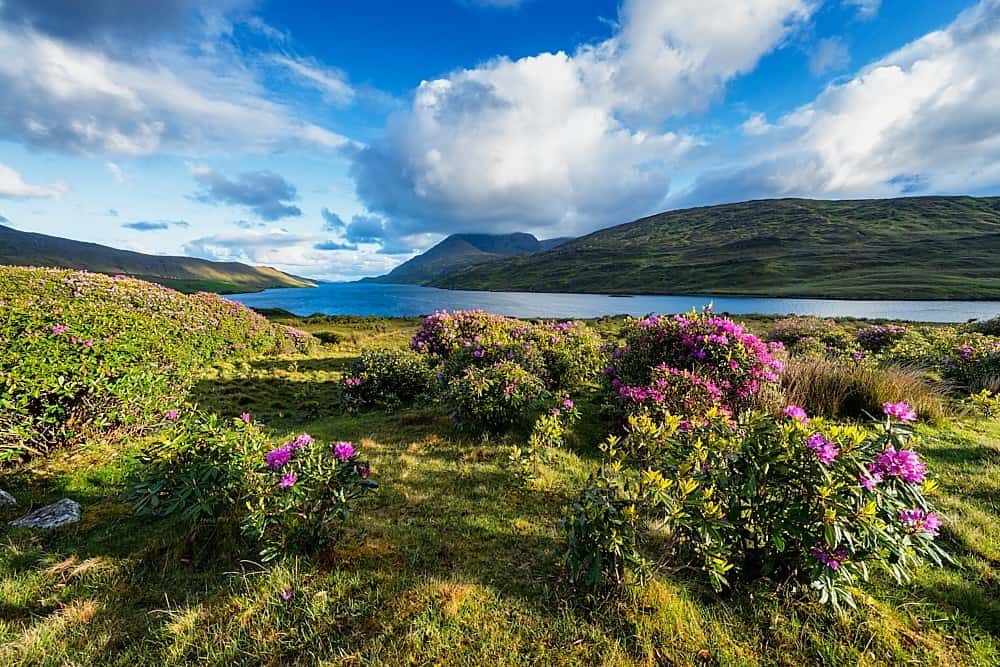 Killary Harbour
