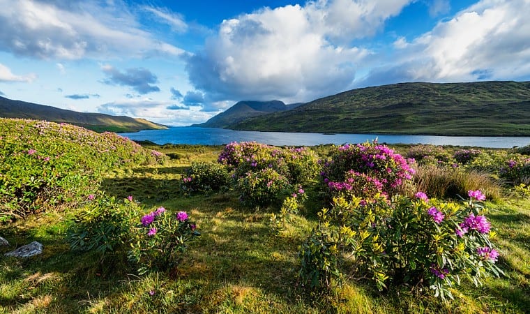 Killary Harbour