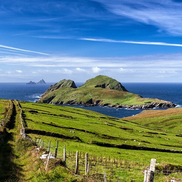 Puffin Island