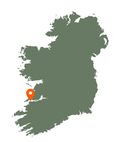 Shannon Estuary Map